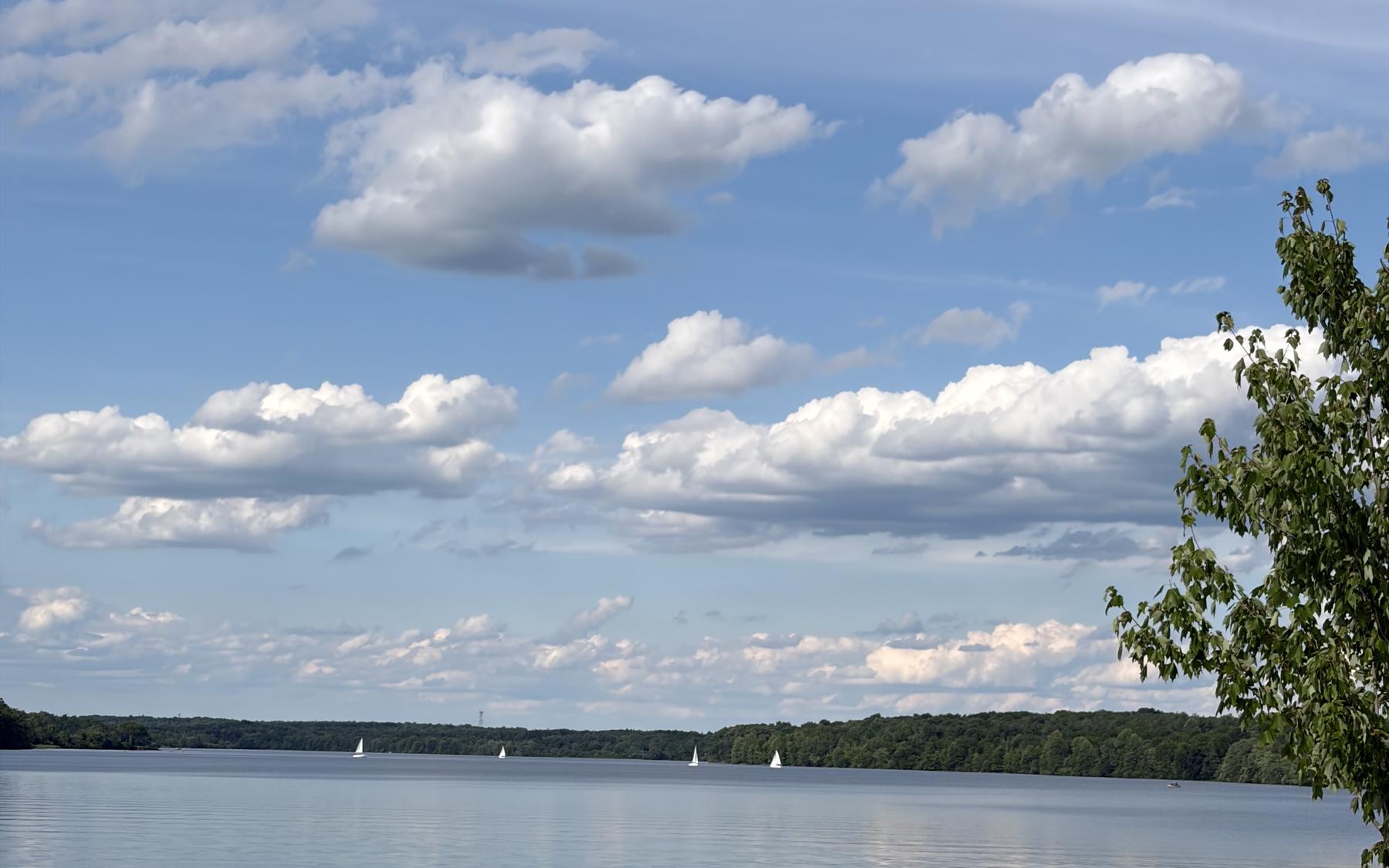 Sailboats on Lake Nockamixon under a blue sky with white clouds